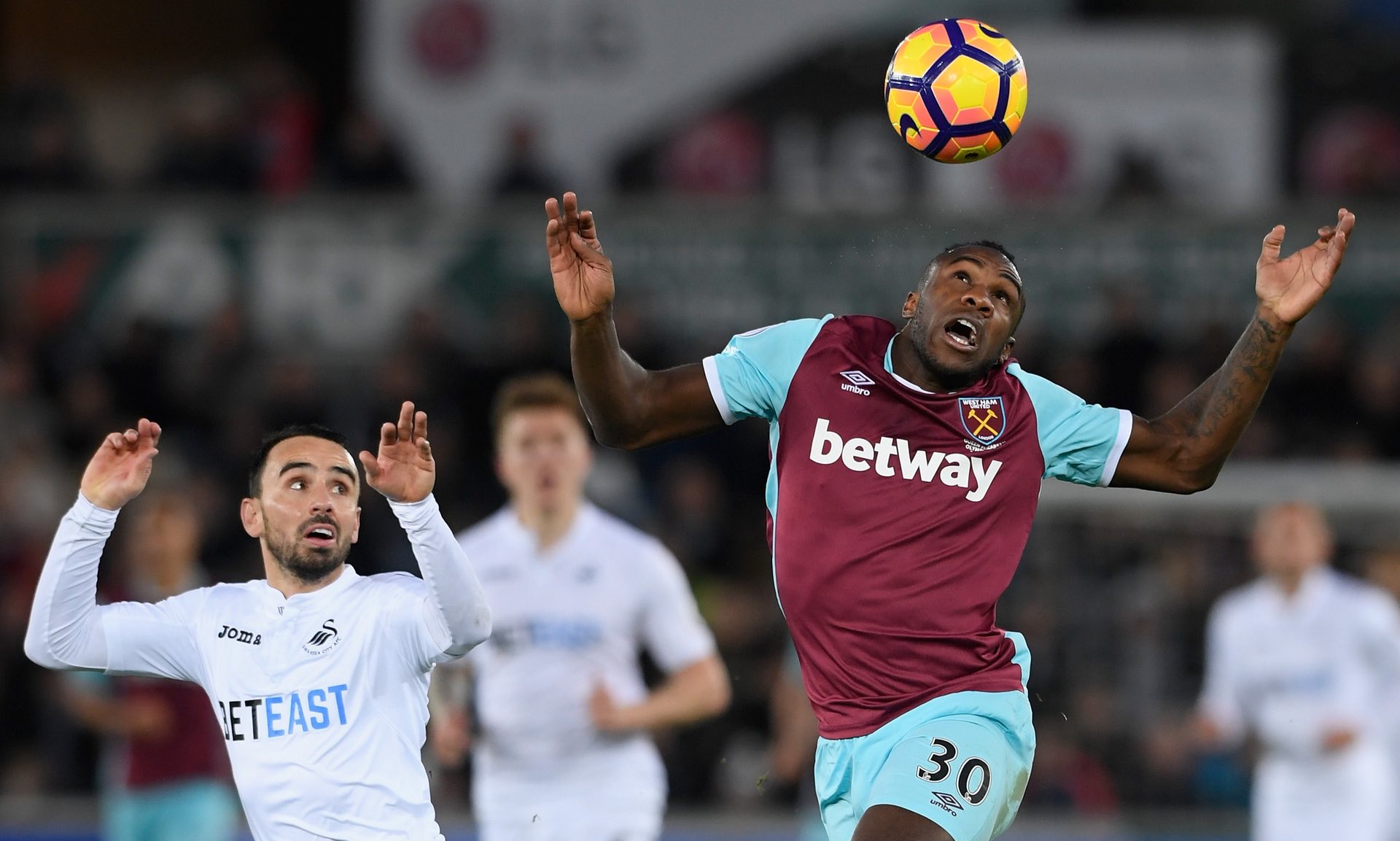 凯尔特人将 凯尔特人将