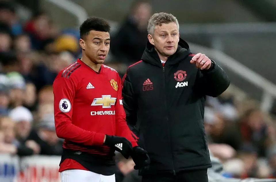 将更上一层 将更上一层